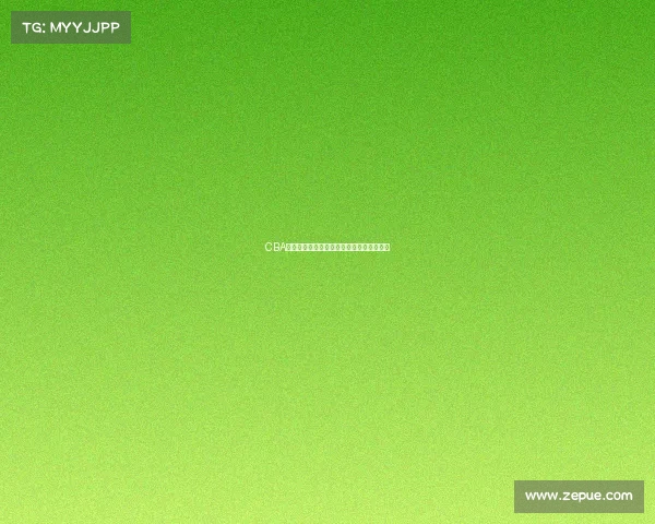 CBA梯队建设的现状与未来发展路径探析与思考 CBA梯队建设的现状与未来发展路径探析与思考