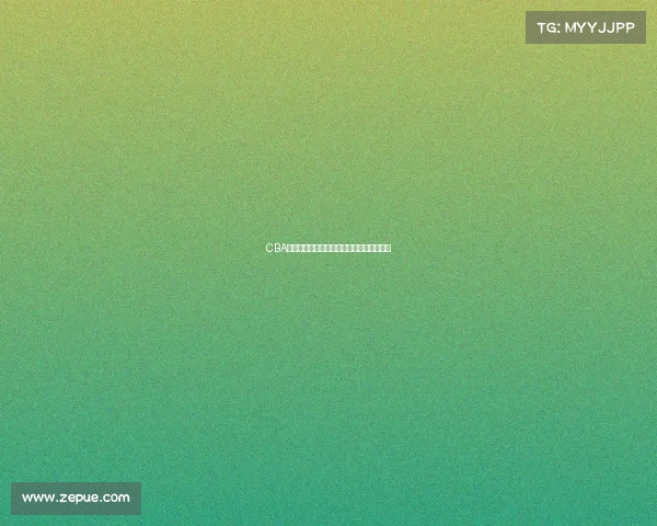 CBA梯队建设的现状与未来发展路径探析与思考