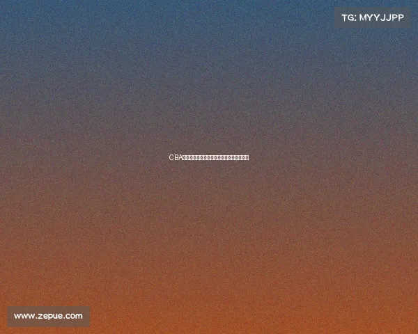 CBA梯队建设的现状与未来发展路径探析与思考